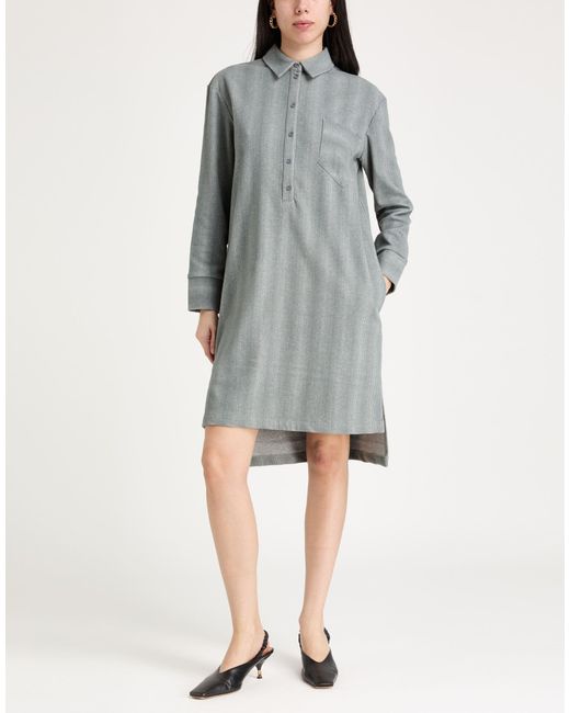 Max Mara Gray Midi Dresses