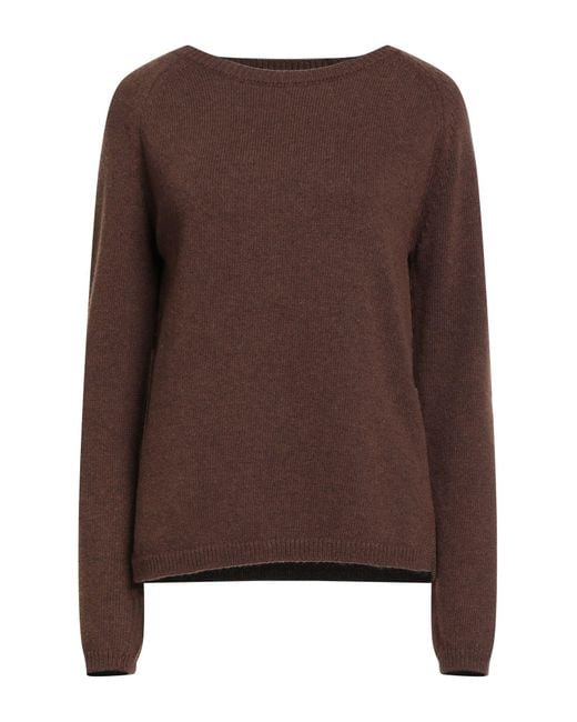 Maliparmi Brown Sweaters