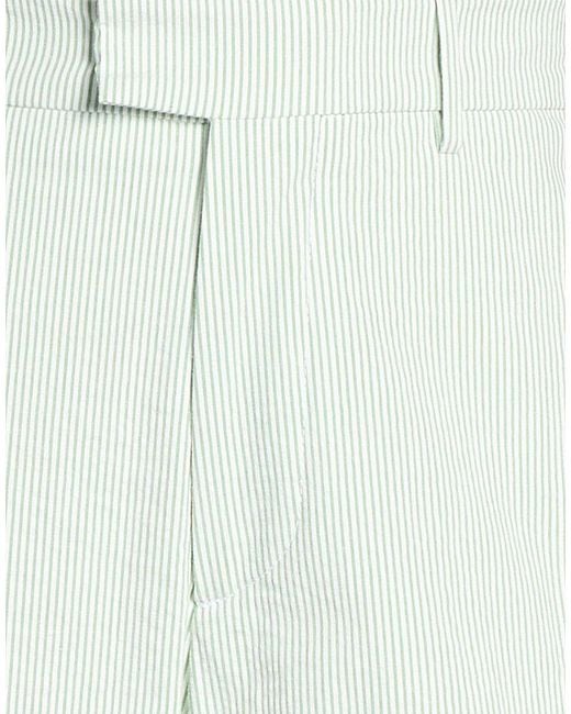 Berwich White Light Pants Cotton, Elastane