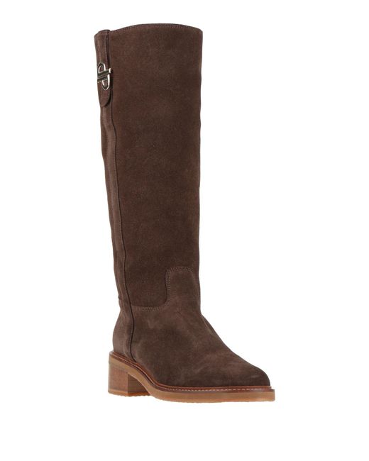Pollini Brown Boot