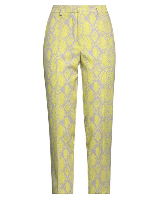 ViCOLO Yellow Pants