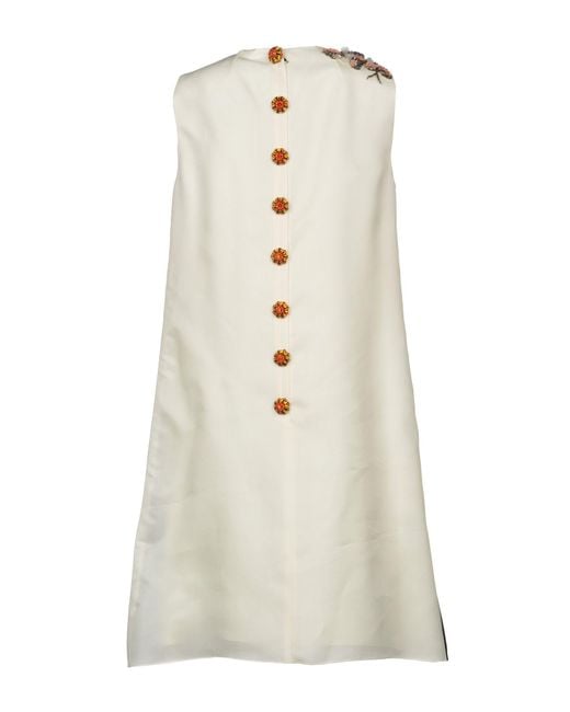 Dolce & Gabbana Orange Mini Dresses