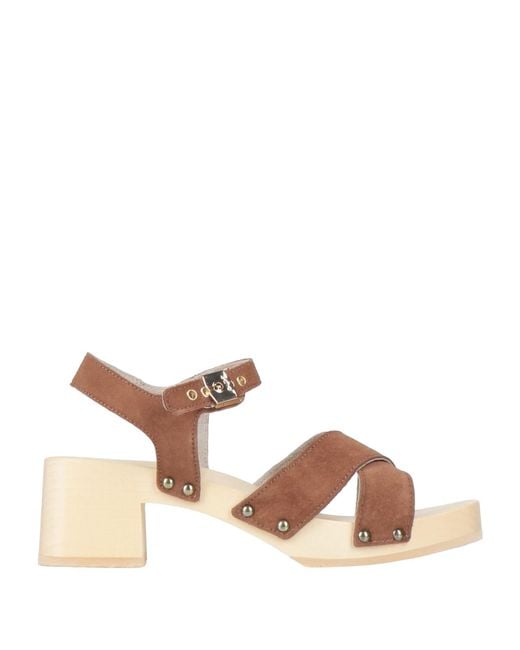 Scholl Brown Mules & Clogs