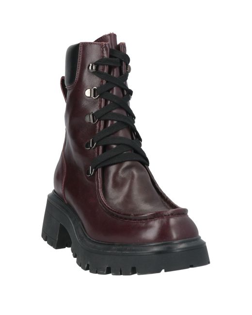 Paola D'arcano Brown Burgundy Ankle Boots Leather