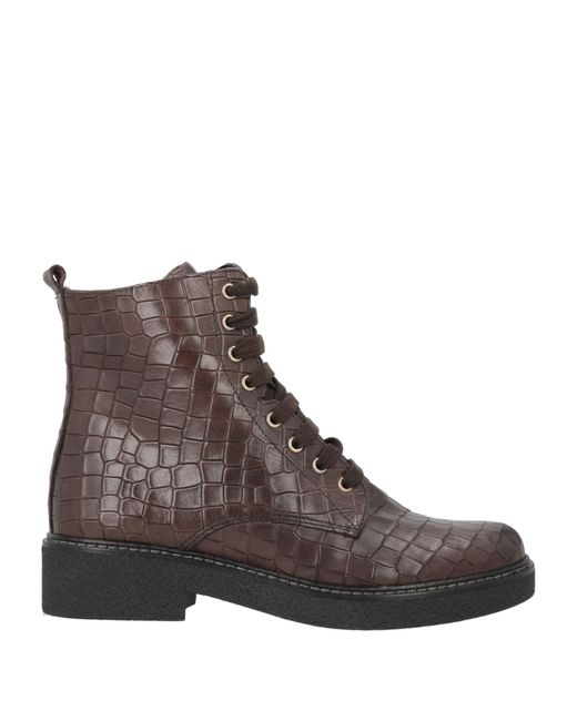 The Flexx Brown Dark Ankle Boots Leather