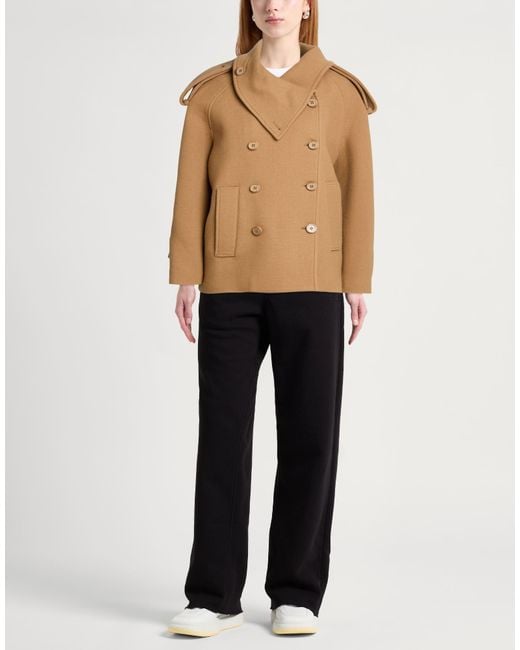 Abrigo Dondup de color Brown