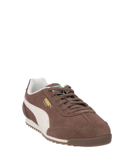 PUMA Brown Trainers