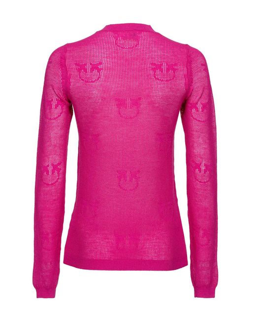 Pinko Pink Pullover