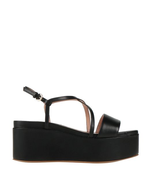 Pollini Black Sandals