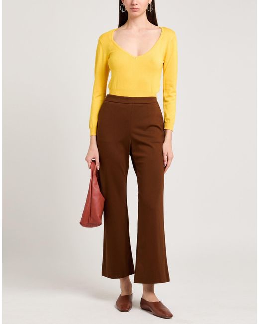 Maliparmi Brown Pants