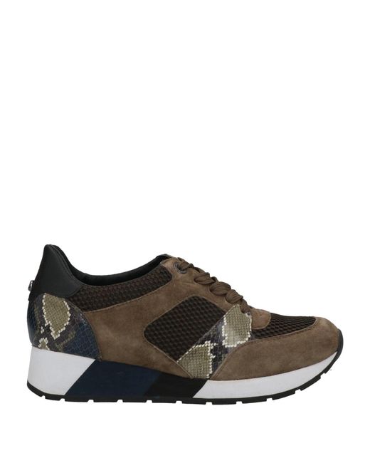 Longchamp Brown Trainers