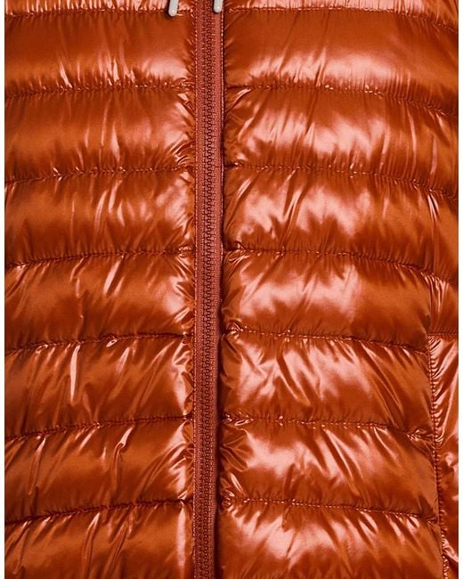 Herno Orange Puffers for men