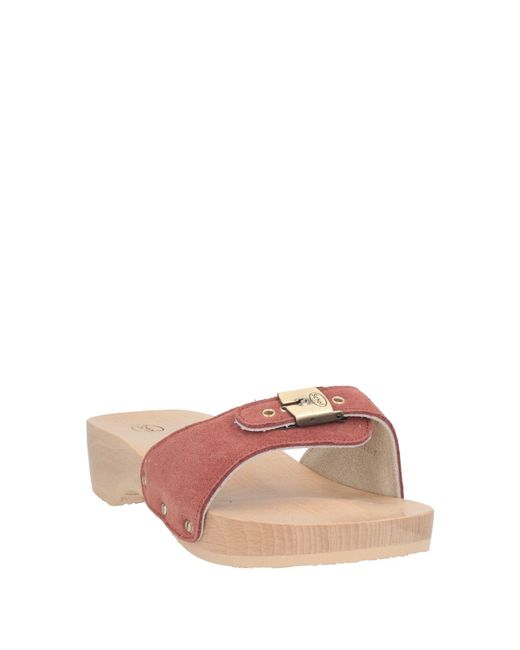 Scholl Pink Mules & Clogs