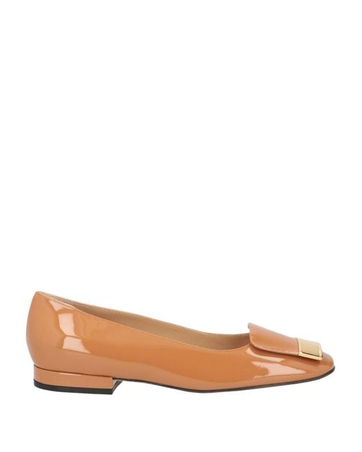 Ballerine di Sergio Rossi in Brown