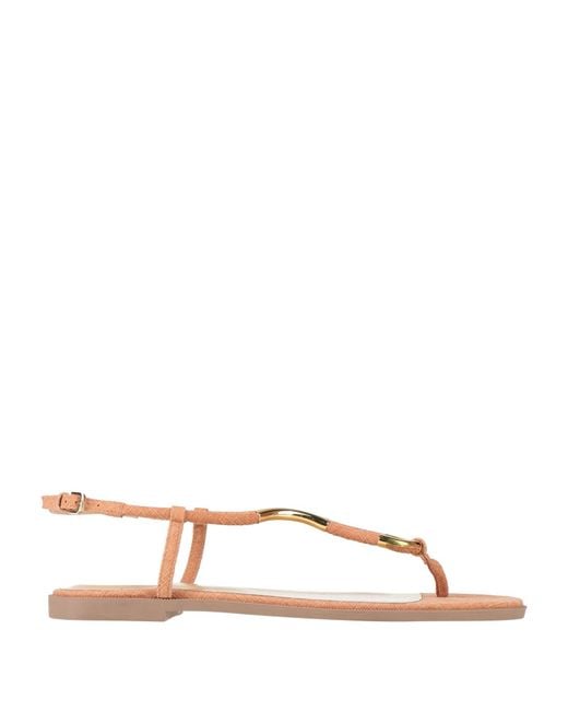Sergio Rossi Brown Thong Sandal
