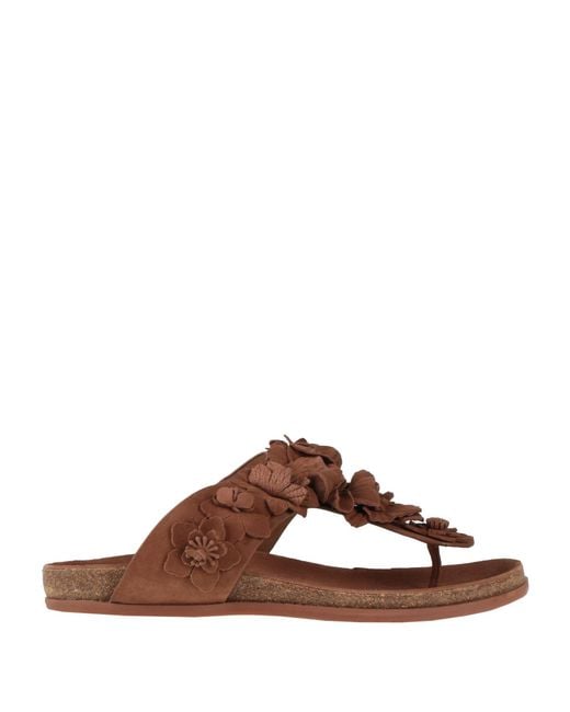 Emanuélle Vee Brown Thong Sandal