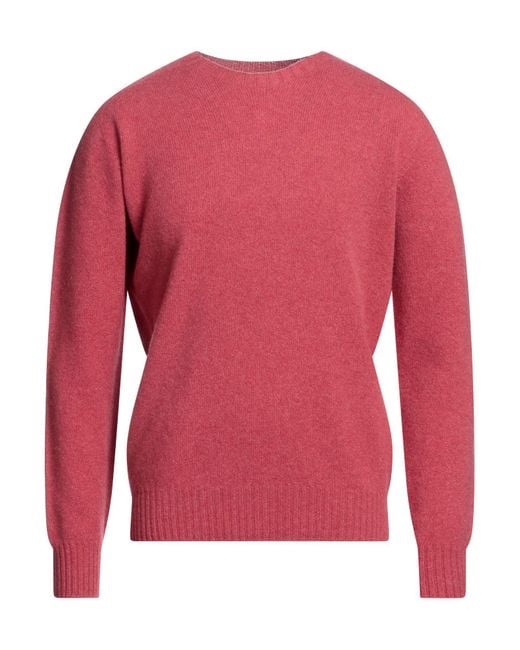 Altea Purple Jumper for men