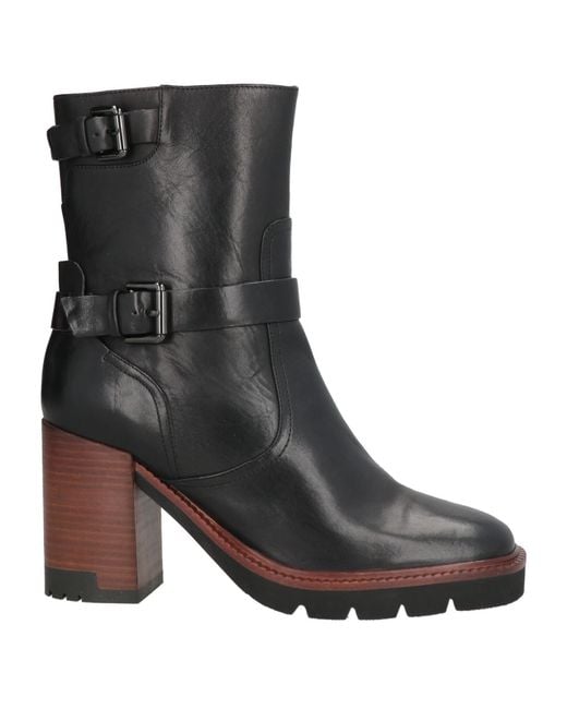 Bruno Premi Black Ankle Boots Leather