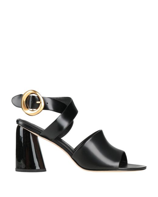 STUDIO AMELIA Black Sandals
