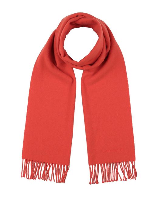 Longchamp Red Scarves