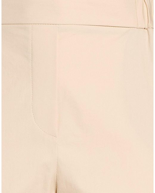 Antonelli Natural Pants Cotton, Elastane
