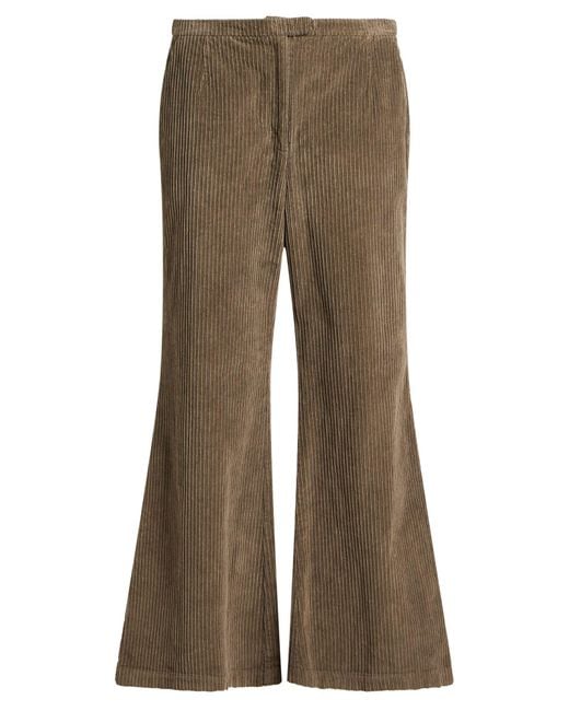 Maliparmi Brown Pants Cotton, Elastane