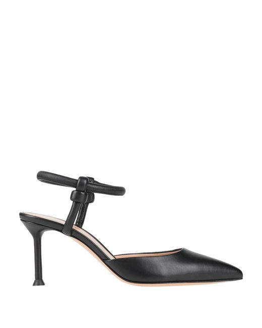 Gianvito Rossi Black Pumps