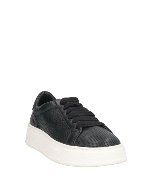 Agl Attilio Giusti Leombruni Black Sneakers