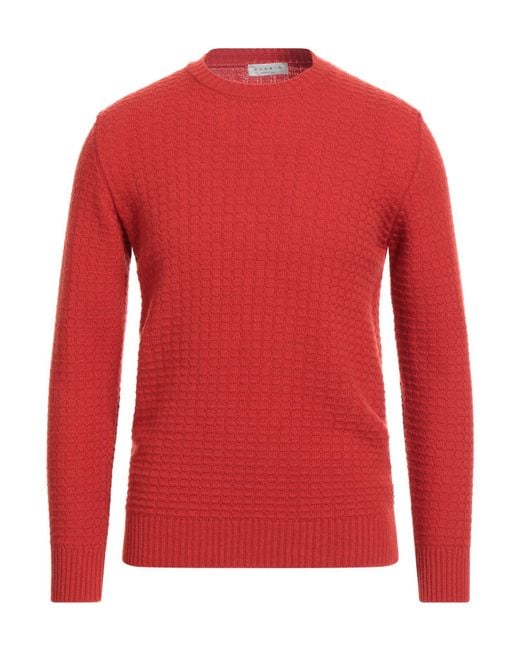 Darwin Red Sweater Wool, Polyamide for men
