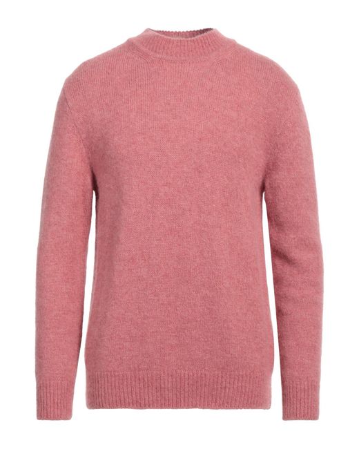 President's Pink Sweater for men