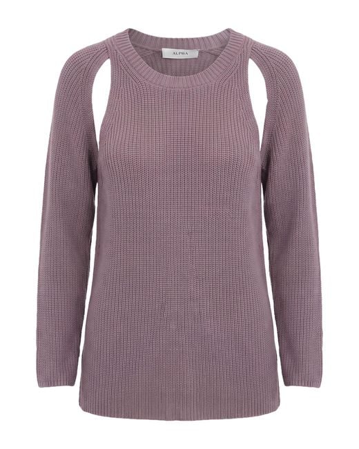 Pullover di Alpha Studio in Purple
