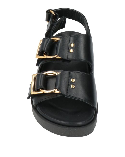 Alohas Black Sandals