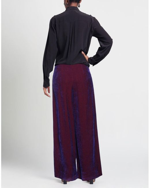 Momoní Purple Hose