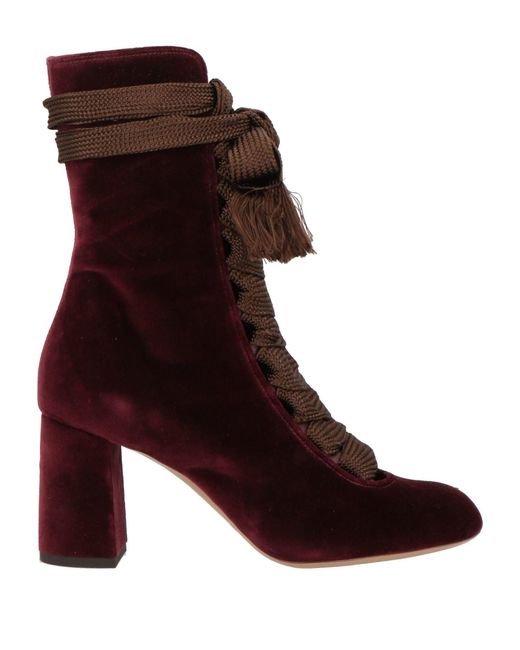Chloé Brown Stiefelette