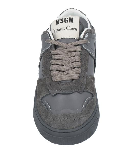 MSGM Gray Trainers