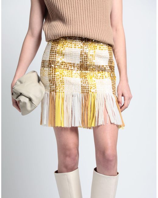 Elisabetta Franchi Metallic Mini Skirt