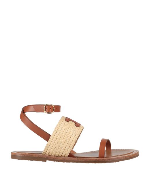 Céline Brown Sandale