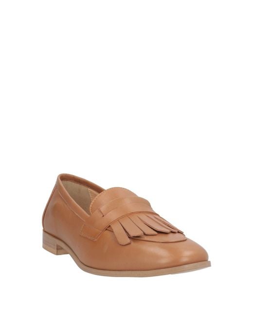 Bervicato Brown Loafers