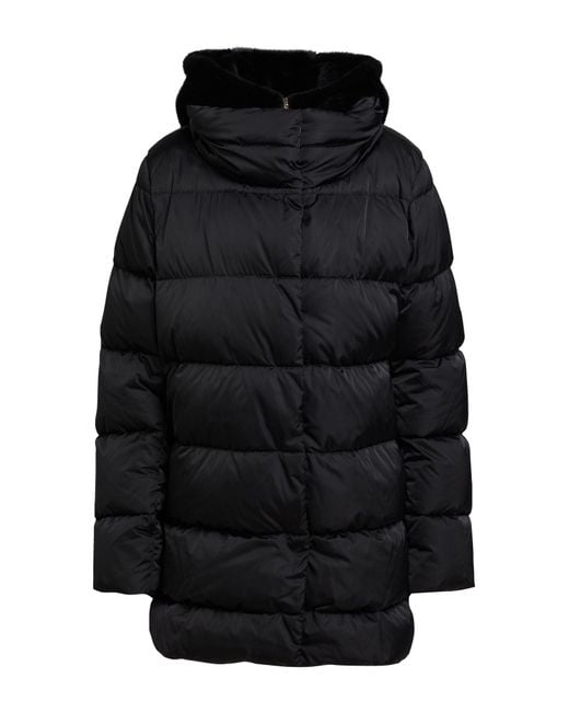 Herno Black Puffers