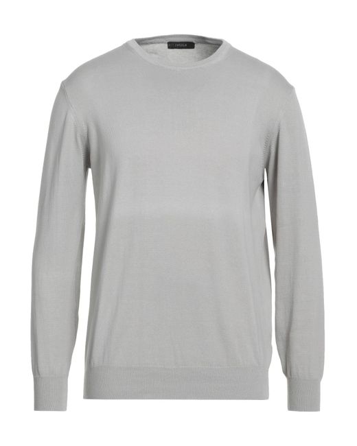 Retois Gray Sweater for men