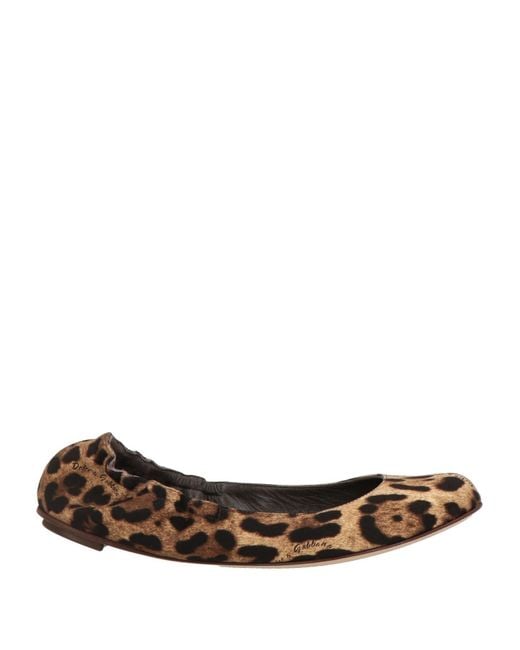 Dolce & Gabbana Brown Ballet Flats