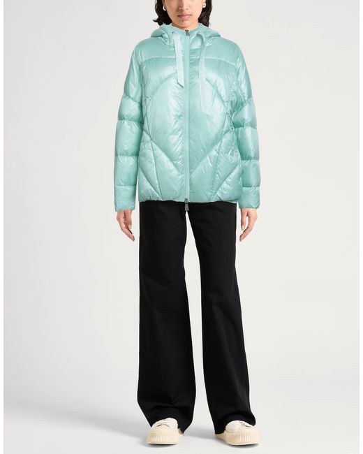 hinnominate Blue Puffer