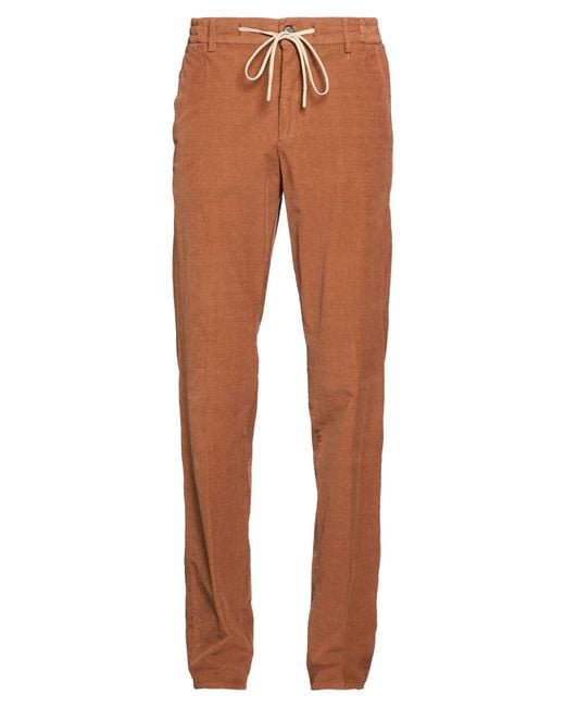 Berwich Brown Pants Cotton, Elastane for men