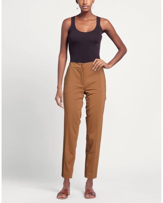Clips Brown Pants Cotton, Polyester, Elastane