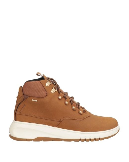 Geox Brown Trainers