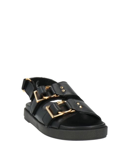 Alohas Black Sandals