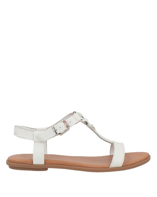 arizona mocha birkenstocks