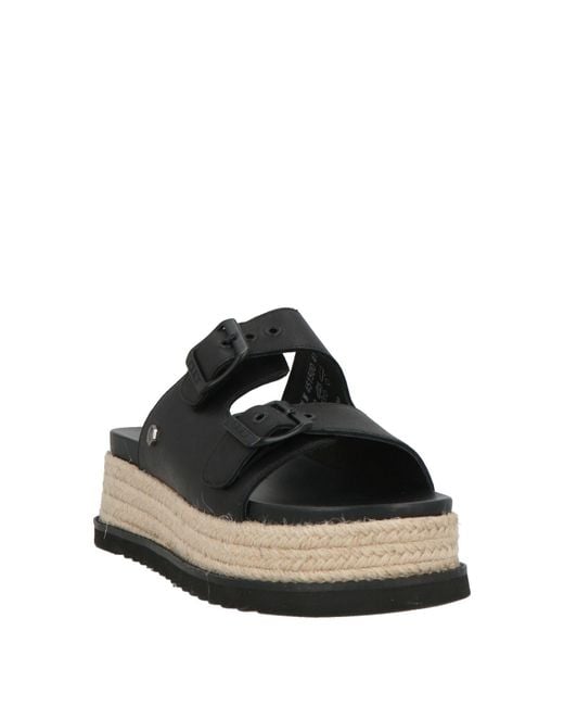 Cult Black Sandals