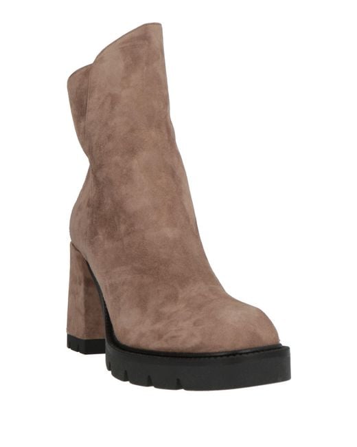Bottines Albano en coloris Brown