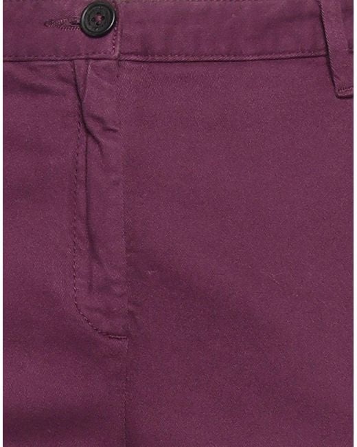 Massimo Alba Purple Trouser